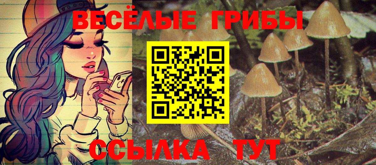 Галлюциногенные грибы мицелий  Вход с VPN  продажа наркотиков  Сокол 